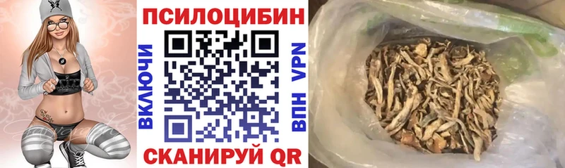 гидра tor  продажа наркотиков  Миллерово  Псилоцибиновые грибы MAGIC MUSHROOMS 
